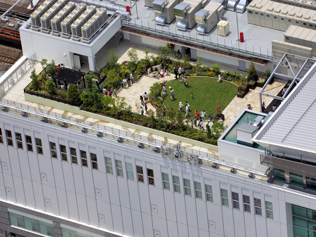 市場 ふるさと納税 スナゴケで屋上緑化１平方メートル：兵庫県三木市